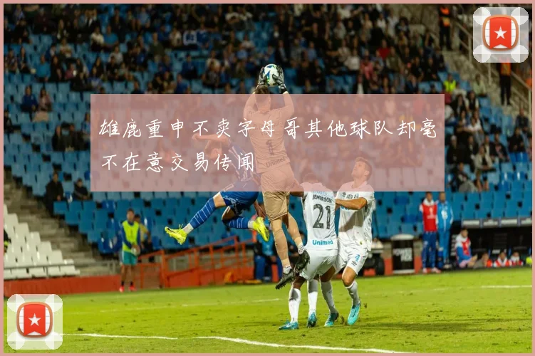 雄鹿重申不卖字母哥其他球队却毫不在意交易传闻
